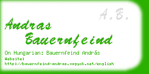 andras bauernfeind business card